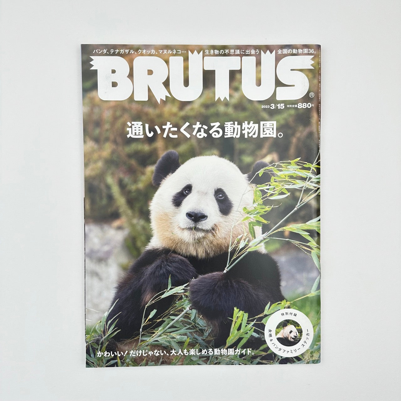 BRUTUS Issue 980 Mar 2023